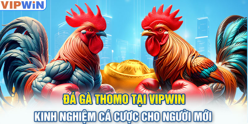 da-ga-thomo-tai-vipwin