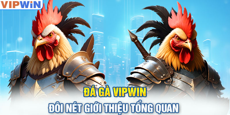 Đá gà VIPwin - Đôi nét giới thiệu tổng quan 