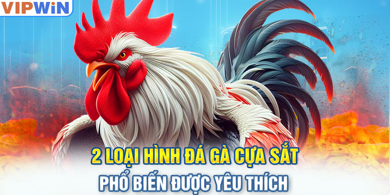 2 loại hình đá gà cựa sắt phổ biến được yêu thích