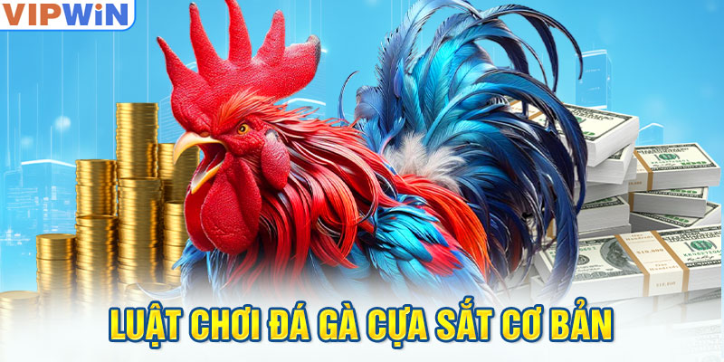 Luật chơi đá gà cựa sắt cơ bản